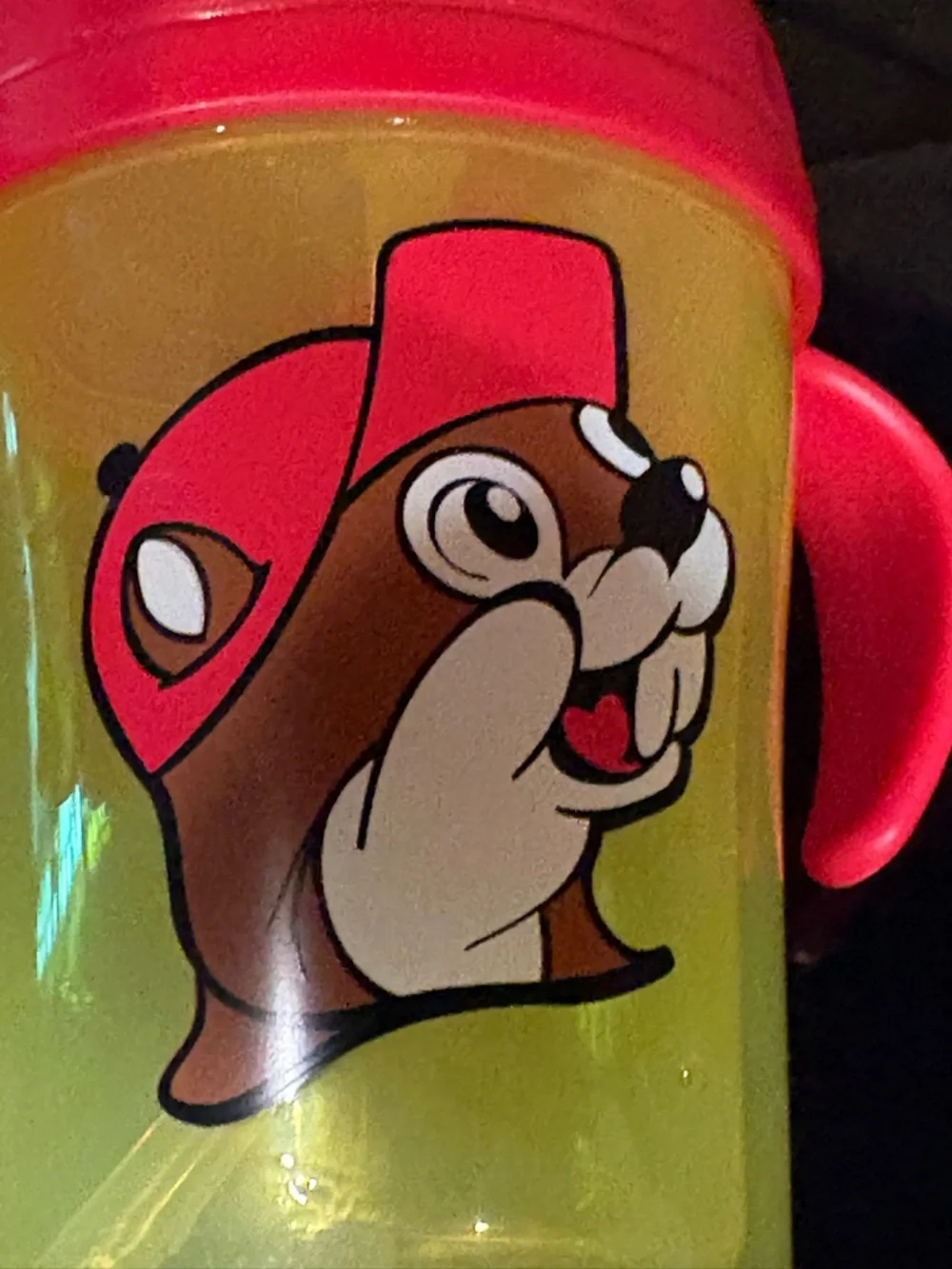 Buc-ee’s Two Handled Child’s Sippy Cup With Straw 7 fl oz